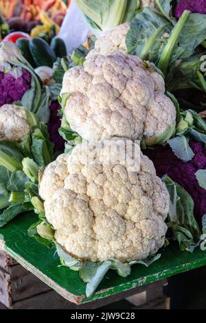 Blumenkohl (Brassica oleracea), Bauernmarkt, E USA, von James D Coppinger/Dembinsky Photo Assoc Stockfoto