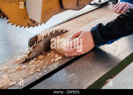 Das Blatt einer Kreissäge auf dem Schreibtisch schneidet ein Pinienbrett. Stockfoto