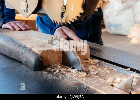 Das Blatt einer Kreissäge auf dem Schreibtisch schneidet ein Pinienbrett. Stockfoto
