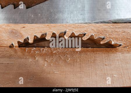 Das Blatt einer Kreissäge auf dem Schreibtisch schneidet ein Pinienbrett. Stockfoto