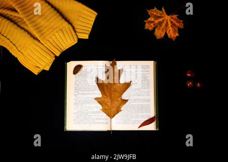 Unschärfe-Effekt im Herbst. Offenes Buch mit Herbstblättern darauf. Gelbe Blätter. Hintergrund. Flache Lay-Komposition mit Herbstblättern und Kopierraum auf Schwarz Stockfoto