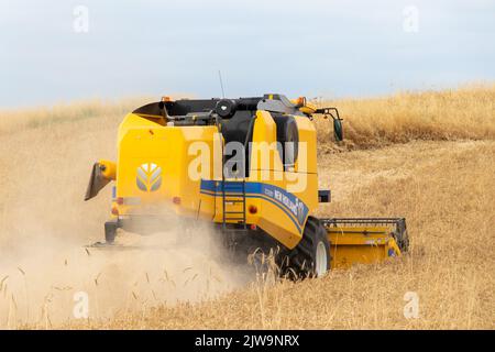 Mähdrescher erntet reifen Weizen. Landwirtschaft und Landmaschinen Thema. Ismailli - Aserbaidschan Stockfoto
