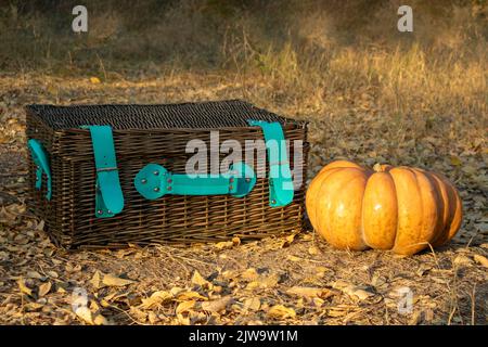 Herbstkürbis und Picknickkorb. Herbststillleben im Wald Stockfoto