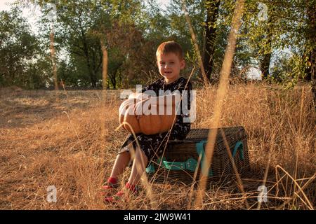 Ein kleiner rothaariger Junge sitzt auf einem Picknickkorb und hält einen Kürbis. halloween im Park Stockfoto