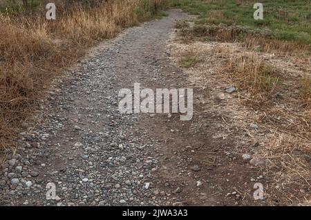 Felsiger Pfad. Trockene Erde mit kleinen Steinen. Pfad von wilden Büschen. Stockfoto