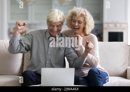 Fröhliches, aufgeregtes Senior-Ehepaar, das sich ein Notebook-Display ansieht Stockfoto