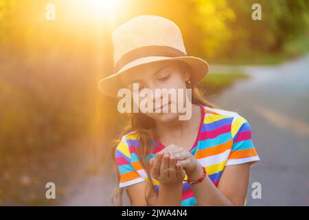 Das Kind spielt mit dem Frosch. Selektiver Fokus. Stockfoto