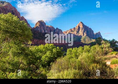 Blick von der Canyon Junction Bridge, Zion National Park, Utah, USA Stockfoto