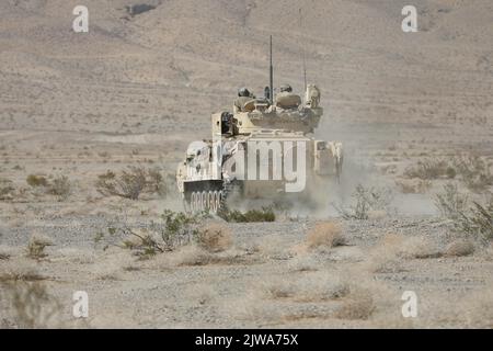 US-Soldaten wurden 2. Bataillon, 70. Panzerregiment, 2. Panzerbrigade-Kampfteam, 1. Infanterie-Division Manöver ein m2 Bradley Infanterie-Kampffahrzeug während der Live-Feuerübungen während der entscheidenden Aktionsrotation 22-09 im National Training Center, Fort Irwin, Kalifornien, 15. August 2022. (USA Armeefoto von Sgt. Ryan Gosselin, Operations Group, National Training Center) Stockfoto