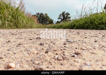 Blick in den niedrigen Winkel auf einer Schotterstraße, die zu einem unbekannten Punkt im Wald führt. Abnehmende Perspektive. Selektiver Fokus. Speicherplatz kopieren. Stockfoto