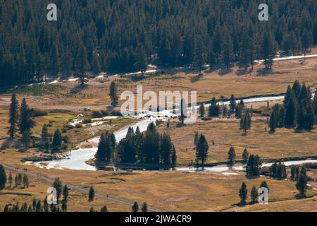 Die Aussicht von der Spitze des Lembert Dome im Yosemite National Park ist unglaublich. Stockfoto