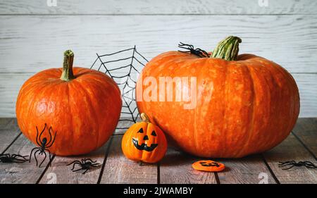 Halloween Kürbisse auf rustikalem Holztisch, Gemüse an Holz weiße Wand gesetzt. Stillleben von orangenem Essen und gruseligen Halloween-Dekorationen. Konzept von O Stockfoto