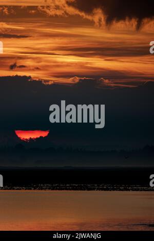 Saint Valery sur Somme, entrée du Port, lever de Soleil, feu de Port, mouettes Stockfoto