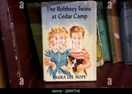 Vintage Bobbsey Twins Kinderbuch auf einem Regal. Stockfoto