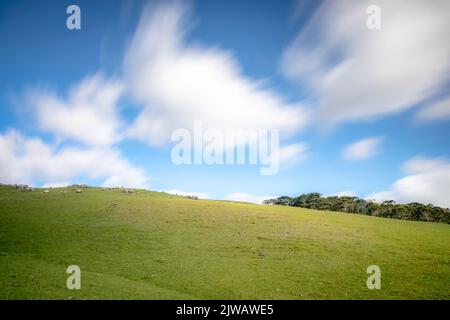 Verschwommene Wolken bewegen sich und Rio Grande do Sul Pampa - Südbrasilien Stockfoto