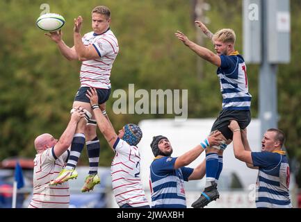 Englische Amateur-Rugby-Union-Spieler, die in einem Ligaspiel spielen. Stockfoto