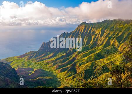 Abendlicht auf einem tropischen Tal im Kalalau-Tal auf Kauai Stockfoto