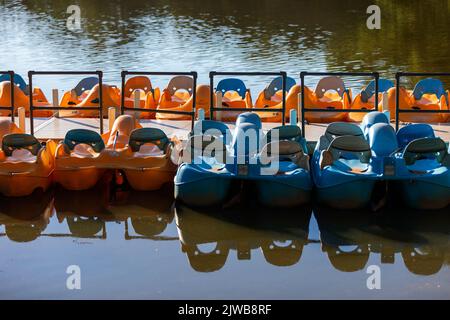 Gelbe und blaue Tretboote schwimmen in einem See im Shelby Farms Park, Memphis, TN. Am 31. August 2022. Stockfoto