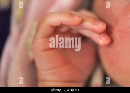 Hand des neugeborenen schlafenden Kindes Minuten und Stunden nach der Geburt. Niedliche kleine neu geboren asiatische Baby junge. Neues Leben, Anfang, Gesundheit. Stockfoto