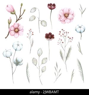 Aquarell-Magnolien und Baumwollpflanzen isoliert auf weißem Hintergrund. Handgezeichnete, detailgetreue Vintage-Illustration. Stockfoto