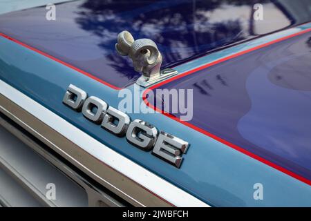 Ein Widderkopf Haube Ornament auf einem alten Dodge Pickup Truck. Stockfoto