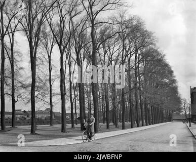 Gesicht in der Vondellaan in Utrecht, von Westen. Stockfoto