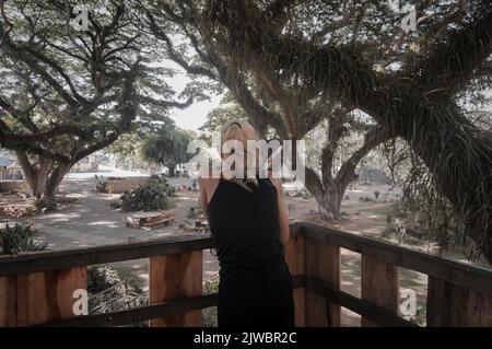 Eine Frau besucht den Djawatan-Wald in Banyuwangi City, Indonesien. Stockfoto