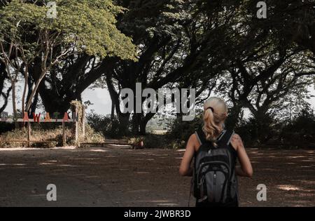 Eine Frau besucht den Djawatan-Wald in Banyuwangi City, Indonesien. Stockfoto