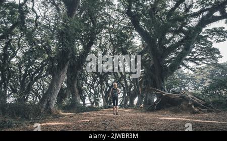 Eine Frau besucht den Djawatan-Wald in Banyuwangi City, Indonesien. Stockfoto