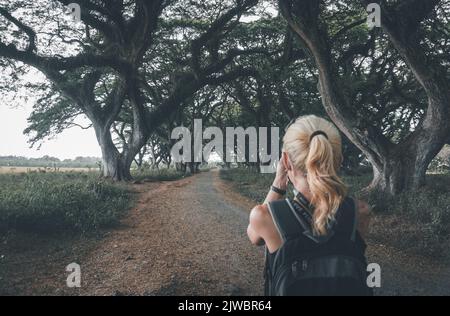 Eine Frau besucht den Djawatan-Wald in Banyuwangi City, Indonesien. Stockfoto