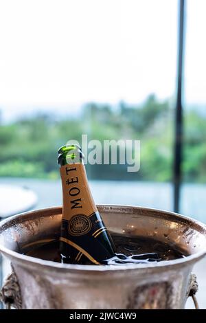 Champagner von Moët & Chandon in einem Champagner-Kühleimer. Stockfoto