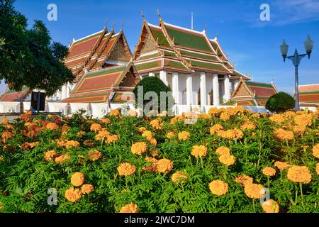 Wat Ratchanadta, ein Wahrzeichen Buddhistischer Tempel in Bangkok, Thailand, mit Ringelblumen aus einem angrenzenden Park im Vordergrund Stockfoto