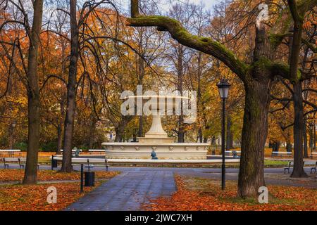 Herbst im Sächsischen Garten in Warschau, Polen. Historischer Park im Stadtzentrum mit einem Brunnen aus dem 19.. Jahrhundert. Stockfoto