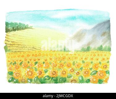 Sonnenblumenfeld. Aquarell Vintage Illustration. Isoliert auf weißem Hintergrund. Für die Gestaltung von Aufklebern, Drucken, Gartenbedarf, Geschirr, Schürzen Stockfoto