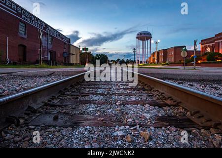 Troy, Alabama, USA - 3. September 2022: Blick aus der Nähe von Troy's City Hall, einer umgebauten Carnegie Library. Ein Wasserturm ist in sichtbar Stockfoto