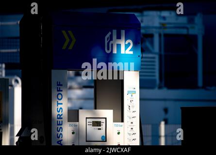 Oldenburg, Deutschland. 04. September 2022. Die Aufschrift 'H2' befindet sich auf einer Wasserstoffpumpe an einer Shell-Tankstelle. Quelle: Hauke-Christian Dittrich/dpa/Alamy Live News Stockfoto