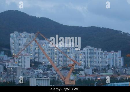 5. September 2022, GEOJE, GYEONGNAM, SÜDKOREA: 5. September 2022-Geoje, Südkorea-General in der Nähe von Daewoo Shipbuilding and Marine Engineering Yard in Geoje, Südkorea. Der Super-Taifun Hinnamnor näherte sich Südkorea am Montag, zwang die Annullierung von Hunderten von Flügen und veranlasste die Schulen, zu Fernunterricht zu wechseln, während die gesamte Nation auf Hochalarm für den stärksten Sturm, der jemals das Land treffen konnte, einging. (Bild: © Ryu Seung-Il/ZUMA Press Wire) Stockfoto