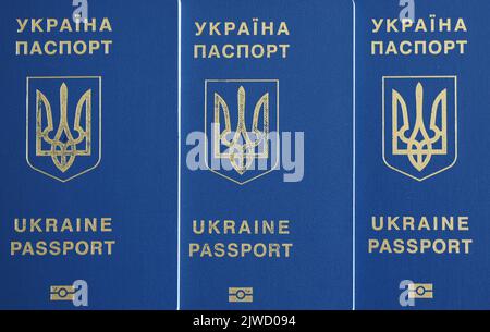 Ukrainischer biometrischer Reisepass-id, um das Europa ohne Visum auf dem Tisch zu reisen. Inschrift in Ukrainisch 'Ukraine Pass' Stockfoto