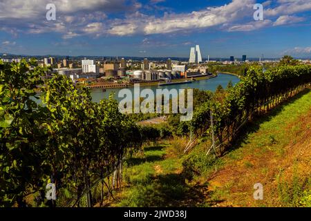 Mit dem Bau der Roche Towers, den höchsten Gebäuden der Schweiz, veränderte sich die Skyline von Basel dramatisch. Stockfoto