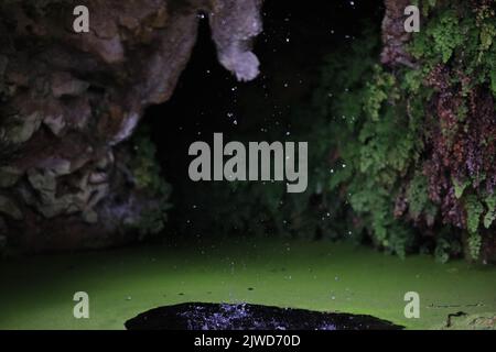 Eine schöne Aussicht vom Inneren der Höhle. Stockfoto