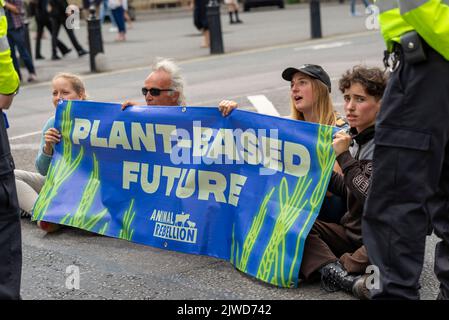 Queen Elizabeth II Centre, Westminster, London, Großbritannien. 5. September 2022. Konservative Parteimitglieder und Beamte kommen im Zentrum an, um sich auf die Ankündigung des neuen Parteiführers und damit des neuen Premierministers des Vereinigten Königreichs vorzubereiten. Der Gewinner ist entweder Liz Truss oder Rishi Sunak. Demonstranten versammelten sich draußen. Tieraufstand blockiert Straße Stockfoto