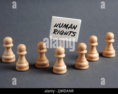 Schachspielerprotestierende halten ein Schild mit der Botschaft MENSCHENRECHTE in der Hand. Politischer Aktivismus und grundlegendes demokratisches Menschenrechtskonzept. Stockfoto