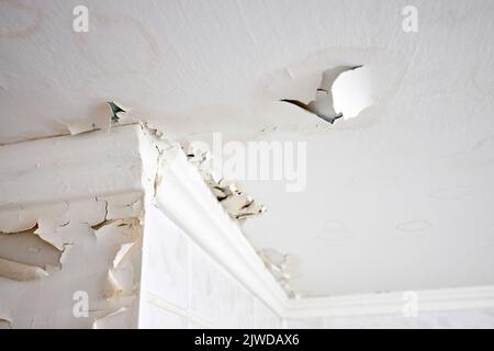 Schwellungen, die aus Weißwasser und Gips an der Decke der Wohnung auslaufen, aufgrund des Eindringens von Wasser aus dem obersten Stockwerk oder Dach, selektiver Fokus. Stockfoto