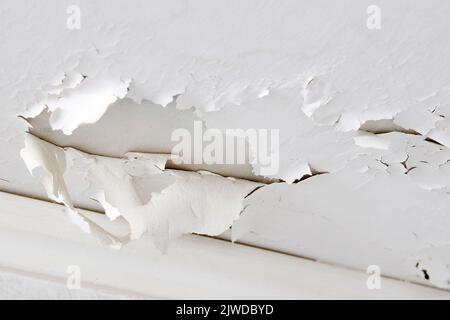 Quellaustritt aus Weißwasser und Gips an der Decke der Wohnung aufgrund des Eindringens von Wasser aus dem obersten Stockwerk oder Dach, selektive Nahaufnahme des Fokus. Stockfoto