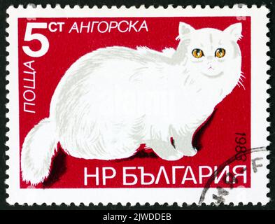BULGARIEN - UM 1983: Eine in Bulgarien gedruckte Marke zeigt die Angora-Katze, eine Rasse von Hauskatzen, um 1983 Stockfoto