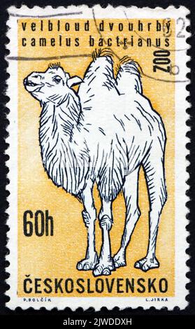 TSCHECHOSLOWAKEI - UM 1962: Eine in der Tschechoslowakei gedruckte Briefmarke zeigt Baktrian Camel, Zoo Animal, um 1962 Stockfoto