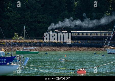 Dartmouth Heritage Eisenbahnlinie mit einer Dampfeisenbahn, die entlang des River Darts verläuft und Yachten im Vordergrund vor Anker liegen. Stockfoto