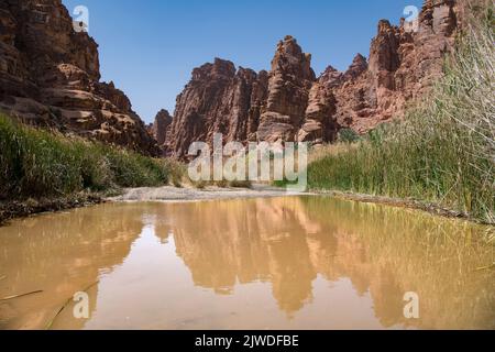 Schroffe Landschaft mit Pool Wadi Disah Tabuk Provinz Saudi-Arabien Stockfoto