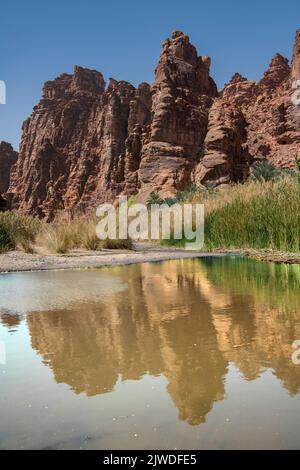 Zerklüftete Landschaft mit Pool Wadi Disah Tabuk Provinz Saudi-Arabien 1 Stockfoto