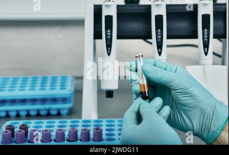 Blutprobe im Reagenzglas in den Händen eines Laboranten während der Untersuchung des Blutes des Patienten im medizinischen Labor Stockfoto